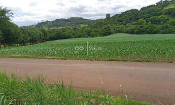 Imagem: CHACARA A VENDA, 2,5KMS DA CIDADE, ZONA