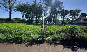 Imagem 2: LOTE COM 12,00M2 DE FRENTE, HÁ 100 METROS DA SEDE ADM SICREDI, IPÊ, MEDIANEIRA - PR