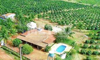 Imagem: Fazenda produtiva de mangas à venda com