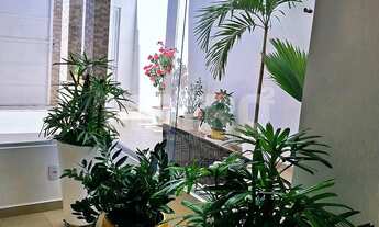 Imagem 5: Casa à venda no bairro Maria Auxiliadora com 3 quartos, PETROLINA - PE