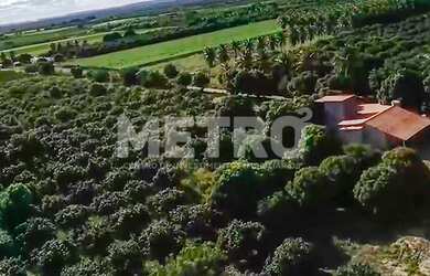 Imagem 5: Fazenda Irrigada à venda produzindo com 6 hectares, PETROLINA - PE
