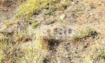 Imagem: Terreno à venda na Av. Clementino Coelho