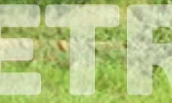 Imagem: Terreno à venda na BR 428, saída para