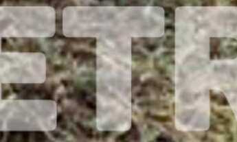 Imagem: Terreno à venda no Loteamento Recife, 200m