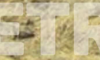 Imagem: Terreno à venda nas Palhinhas 10x30, 300