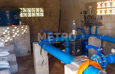 Imagem 6: Fazenda à venda, 14,5 hc produzindo caju, goiaba e sapota