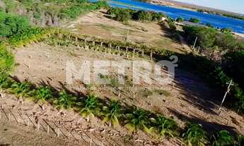 Imagem 3: Área Beira rio à venda com 4ha com excelente localização, casa, Petrolina-PE
