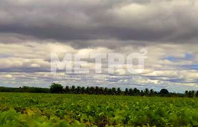 Imagem 2: Área Rural com 14 hectares à venda, escriturada, Petrolina-PE