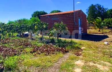 Imagem 11: Área Rural com 14 hectares à venda, escriturada, Petrolina-PE