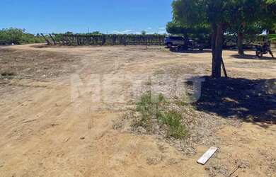 Imagem 15: Área Rural com 14 hectares à venda, escriturada, Petrolina-PE