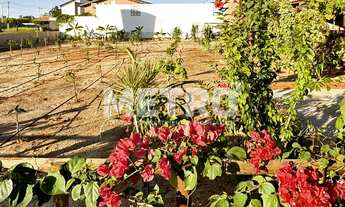 Imagem: Terreno à venda, Estrada Da Tapera, 500m