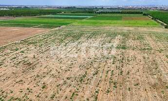 Imagem 3: Fazenda com 116ha, Casa, Galpão, 25ha plantados e mais 32 prontos para plantar