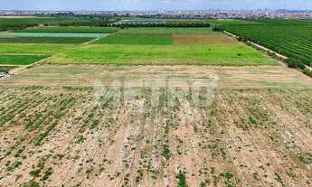 Imagem 4: Fazenda com 116ha, Casa, Galpão, 25ha plantados e mais 32 prontos para plantar