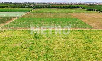 Imagem 5: Fazenda com 116ha, Casa, Galpão, 25ha plantados e mais 32 prontos para plantar