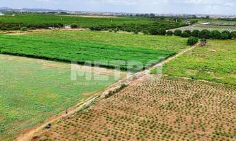 Imagem: Fazenda com 116ha, Casa, Galpão, 25ha plantados