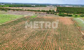 Imagem 7: Fazenda com 116ha, Casa, Galpão, 25ha plantados e mais 32 prontos para plantar