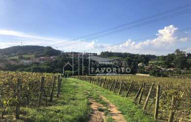 Imagem 2: Imóvel Rural à Venda em Jundiaí SP - 72.000m - Traviú - R 4.330.000,00