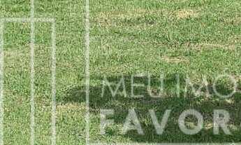 Imagem: TERRENO À VENDA NO CONDOMÍNIO ALPHAVILLE