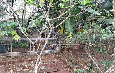 Imagem 5: Casa antiga e terreno à venda, Vila Progresso, JUNDIAI - SP