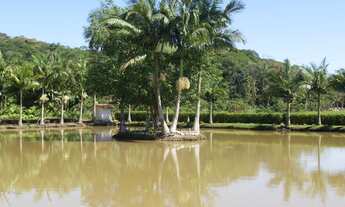 Imagem: CHÁCARA BAIRRO CAIXA DÁGUA