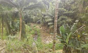 Imagem: CHÁCARA BAIRRO AMIZADE