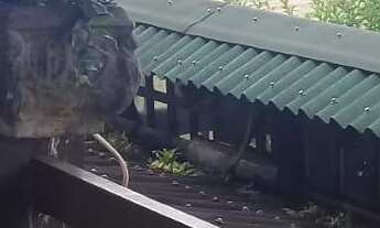 Imagem 3: CASA BAIRRO CENTRO