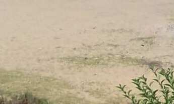 Imagem 2: CASA BAIRRO CENTRO