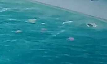 Imagem 5: CASA BAIRRO CENTRO