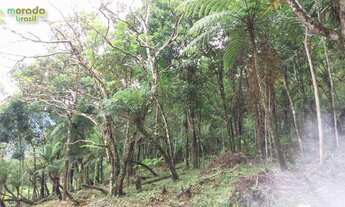 Imagem: Rural à venda,1900.00m², RIO DA LUZ, POMERODE
