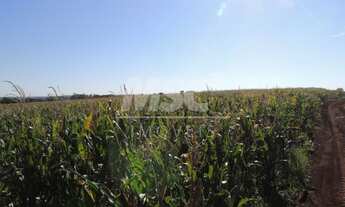 Imagem 6: ÁREA RURAL DE 14,3 ALQ. C 9,48 ALQ. DE PLANTIO EM MARECHAL C. RONDON-PR