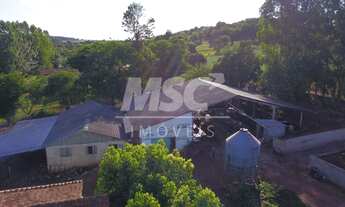 Imagem 3: ÁREA DE 6,64 ALQ. COM LEITARIA EM PLENO FUNCIONAMENTO C 28 VACAS