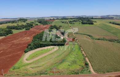 Imagem 6: ÁREA DE 5,9 ALQ. EM PASTAGEM. IDEAL P CHIQUEIRO, AVIÁRIO OU PLANTIO