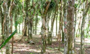 Imagem 3: Terreno à venda Gralha Azul Condomínio Residencial, Rio do Meio, CAMBORIU - SC