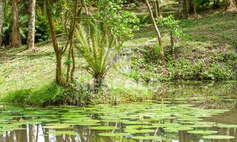Imagem 4: Terreno à venda Gralha Azul Condomínio Residencial, Rio do Meio, CAMBORIU - SC