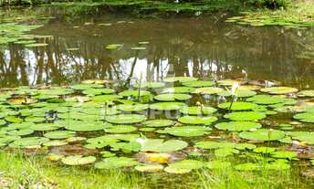 Imagem 6: Terreno à venda Gralha Azul Condomínio Residencial, Rio do Meio, CAMBORIU - SC