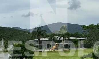 Imagem 4: Sítio à venda, Cerro, CAMBORIU - SC