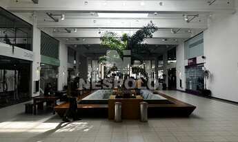 Imagem 2: Sala Comercial à venda Condomínio Business Decor, Saco Grande, FLORIANOPOLIS - SC