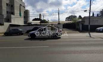 Imagem 4: TERRENO ALTO DA XV