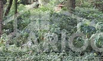 Imagem 3: Terreno à venda, ALTO CASCAVEL, GUARAPUAVA - PR