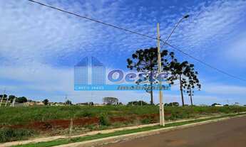 Imagem 5: Terreno à venda, FLORESTA, CASCAVEL - PR