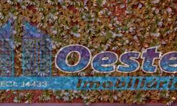 Imagem 3: Sun é a oportunidade de investimento que Cascavel estava esperando