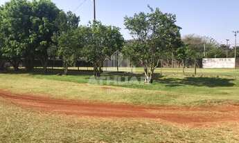 Imagem 6: ÁREA DE TERRA NA AVENIDA TANCREDO NEVES