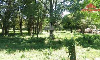 Imagem 7: ÁREA PARA LOCAÇÃO EM TRÊS LAGOAS