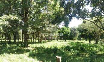 Imagem: ÁREA PARA LOCAÇÃO EM TRÊS LAGOAS