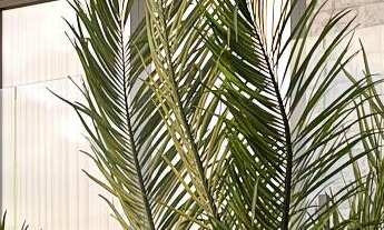 Imagem 2: SOBRADO MODERNO COM 5 SUITES NO CONDOMÍNIO PORTO MADERO