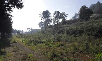 Imagem 5: 3 LOTES A VENDA VALOR DO METRO QUADRADO