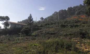 Imagem 7: 3 LOTES A VENDA VALOR DO METRO QUADRADO