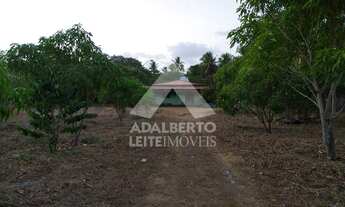 Imagem 7: SÍTIO COM CASA AVARANDA À VENDA, IGUAIBA, PACO DO LUMIAR - MA