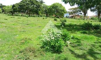Imagem 3: TERRENO EM ÁREA URBANA À VENDA, FOMENTO, PINHEIRO - MA