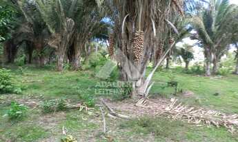 Imagem 4: TERRENO EM ÁREA URBANA À VENDA, FOMENTO, PINHEIRO - MA